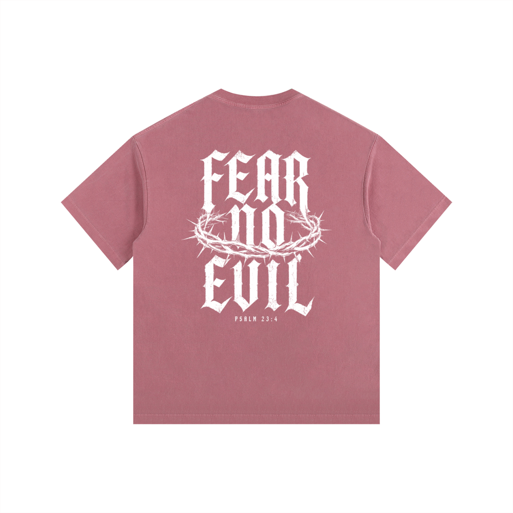 Fear No Evil Psalm 23:4 Heavyweight Washed Tee