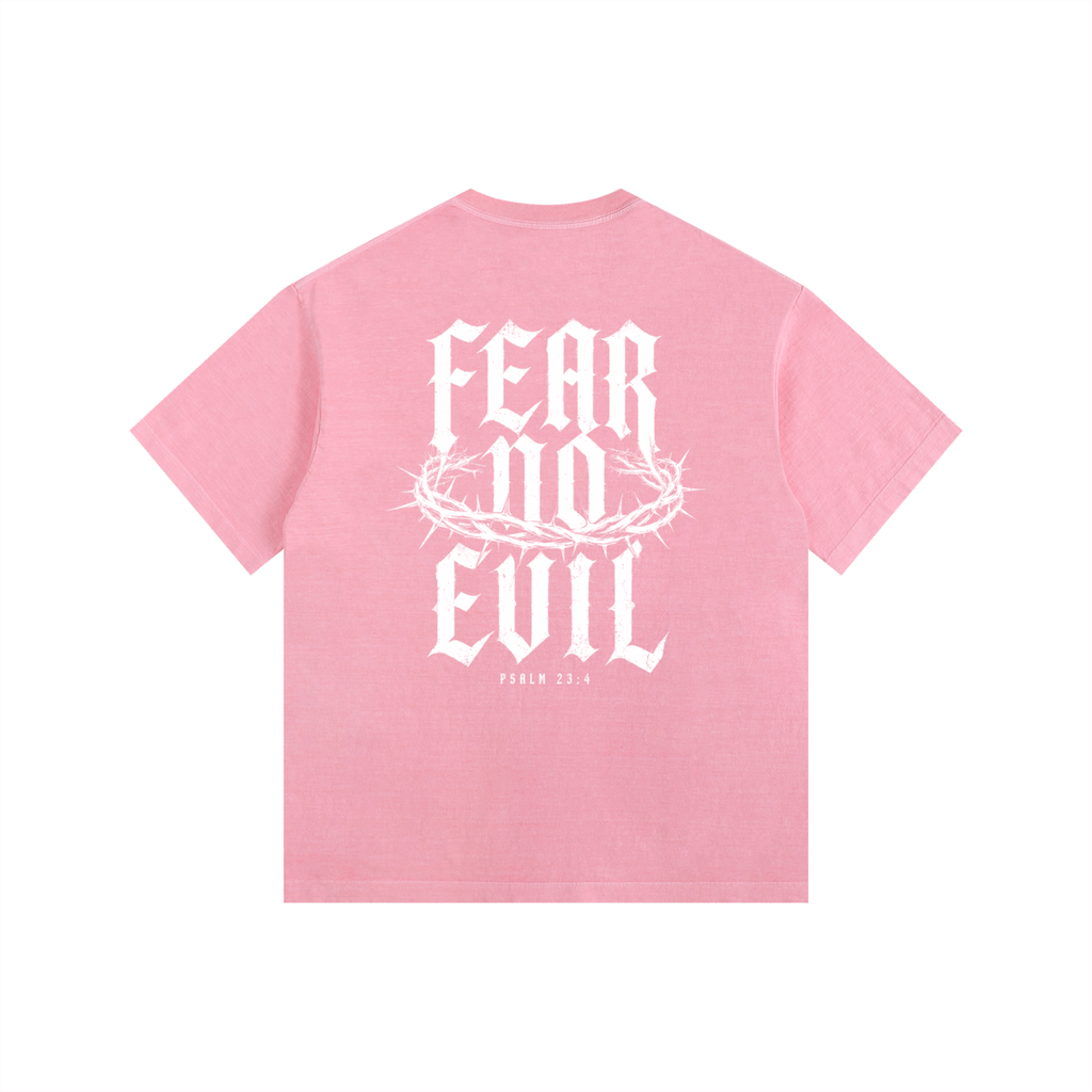 Fear No Evil Psalm 23:4 Heavyweight Washed Tee